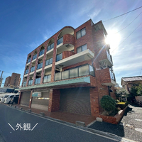 画像294